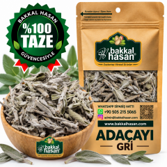 Gri Adaçayı