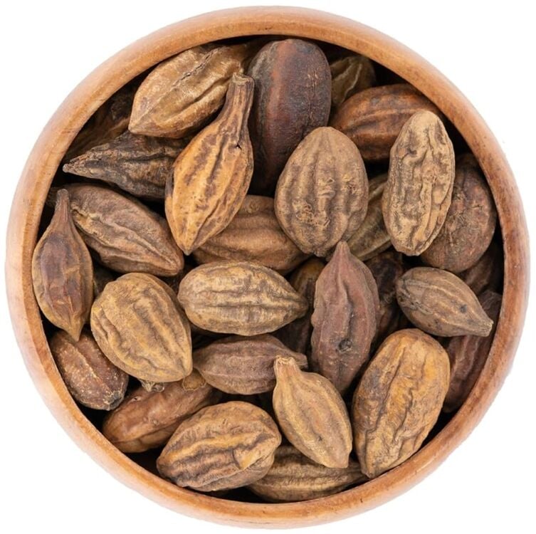 Sarı Halile Tohumu