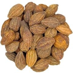 Bakkal Hasan Gaziantep Sarı Halile Tohumu