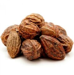 Bakkal Hasan Gaziantep Sarı Halile Tohumu