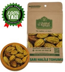 Sarı Halile Tohumu