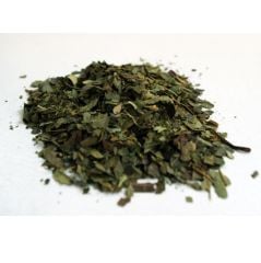 Cinnema Otu