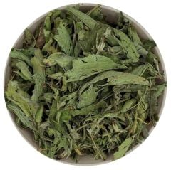 Şeker Otu