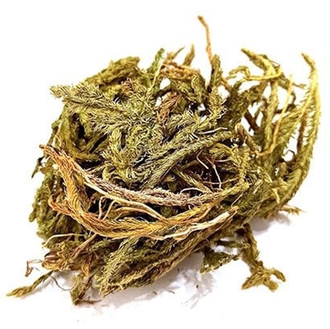 Bakkal Hasan Gaziantep Kurt Pençesi Kibrit Otu