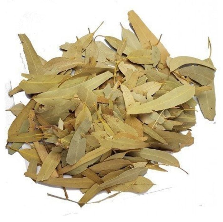 Okaliptus Yaprağı