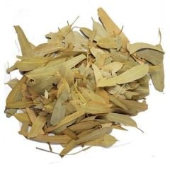 Okaliptus Yaprağı