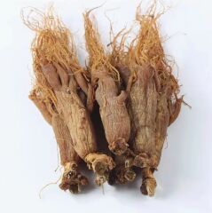 Doğal Ginseng Kökü