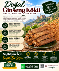 Doğal Ginseng Kökü