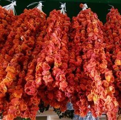 Bakkal Hasan Gaziantep Dolmalık Kabak Naturel