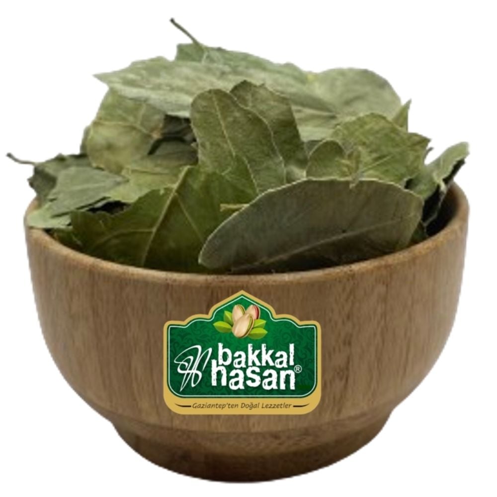 Sedir Sidir Sidr Ağacı Yaprağı