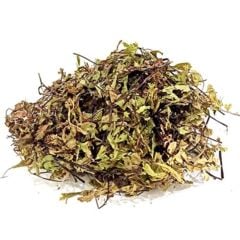 Bakkal Hasan Gaziantep Baldırıkara (Karabacak) Otu