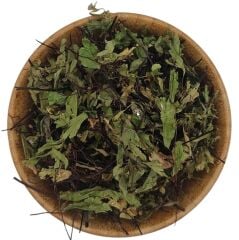 Baldırıkara Karabacak Otu