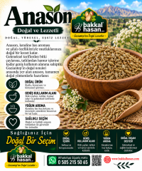 Anason