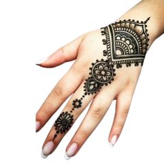 Bakkal Hasan Gaziantep Toz Siyah Hint Kınası 10 gr