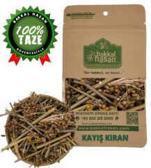 Kayışkıran Otu