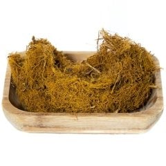 Bakkal Hasan Gaziantep Meyan Kökü