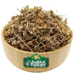 ısırgan