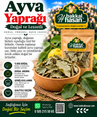 Ayva Yaprağı