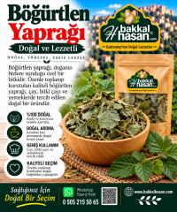 Böğürtlen Yaprağı