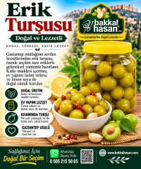 Erik Turşusu