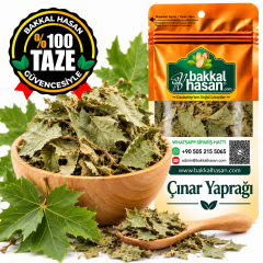Çınar Yaprağı