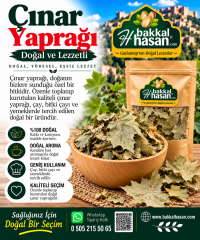 Çınar Yaprağı