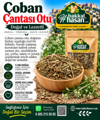Çoban Çantası Otu