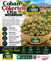 Çoban Çökerten Otu