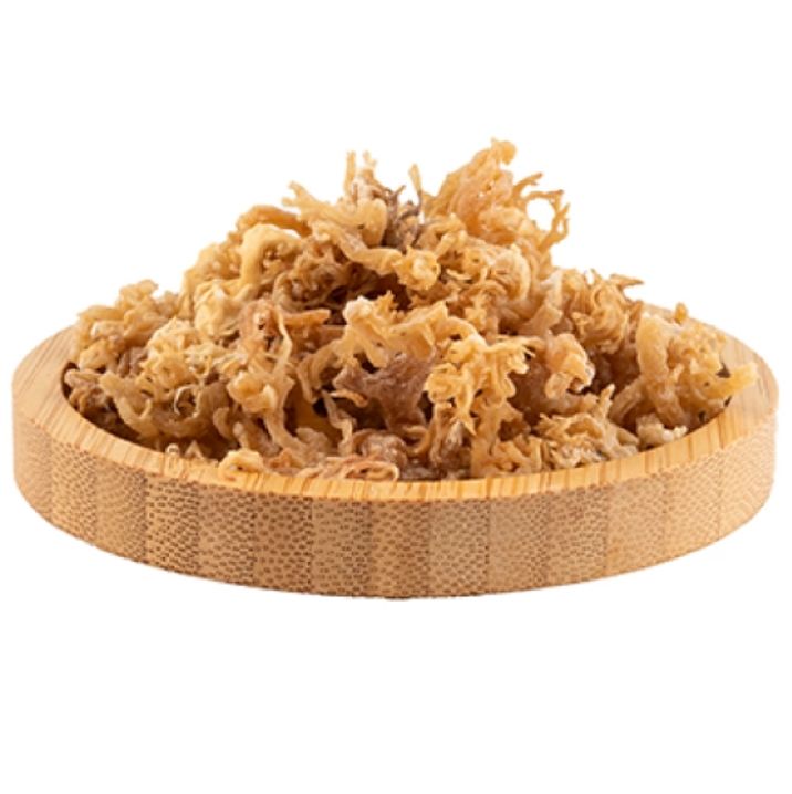 Bakkal Hasan Gaziantep Deniz Kadayıfı