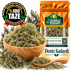Deniz Kadayıfı