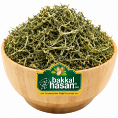 Deniz Kadayıfı