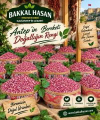 Yeni Mahsul Taze Antep Fıstığı