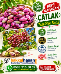 Yeni Mahsul Taze Antep Fıstığı