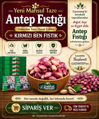 Yeni Mahsul Taze Antep Fıstığı