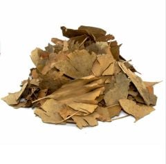 Ginkgo Biloba Yaprağı