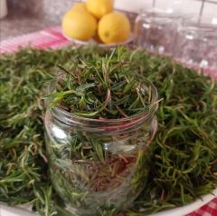 Bakkal Hasan Gaziantep Zeytinyağlı Zahter Salamura