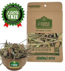 Sinirli Otu Damar Otu Çıban Otu