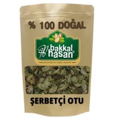 Şerbetçi Otu