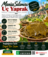 Manisa Salamura Uç Yaprak