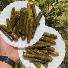Manisa Salamura Uç Yaprak