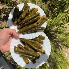 Manisa Salamura Uç Yaprak
