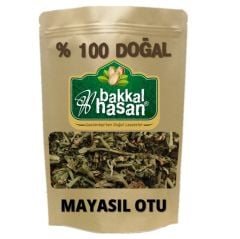 Mayasıl Otu