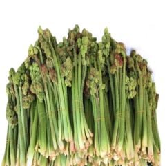 Bakkal Hasan Gaziantep Işkın Kökü Sirkesi