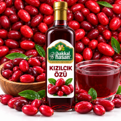 Kızılcık Pekmezi