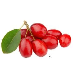 Bakkal Hasan Gaziantep Kızılcık Pekmezi