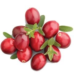 Bakkal Hasan Gaziantep Kızılcık Pekmezi