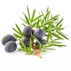 Bakkal Hasan Gaziantep Andız Pekmezi 500 gr - (Çok Al, Az Öde)