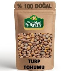 Turp Tohumu