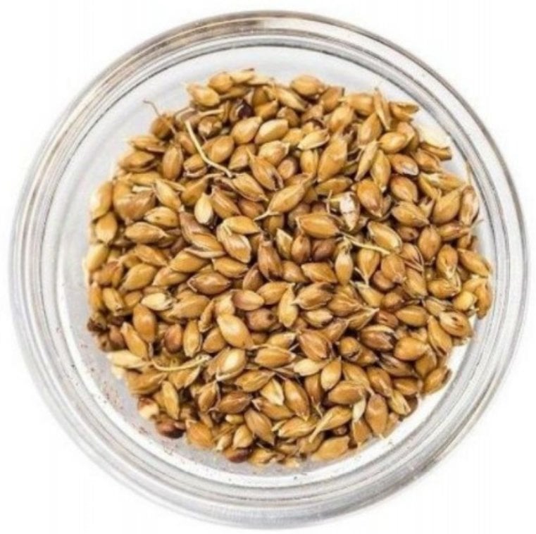Süpürge Tohumu 80 gr