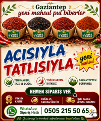 Ardıç Tohumu